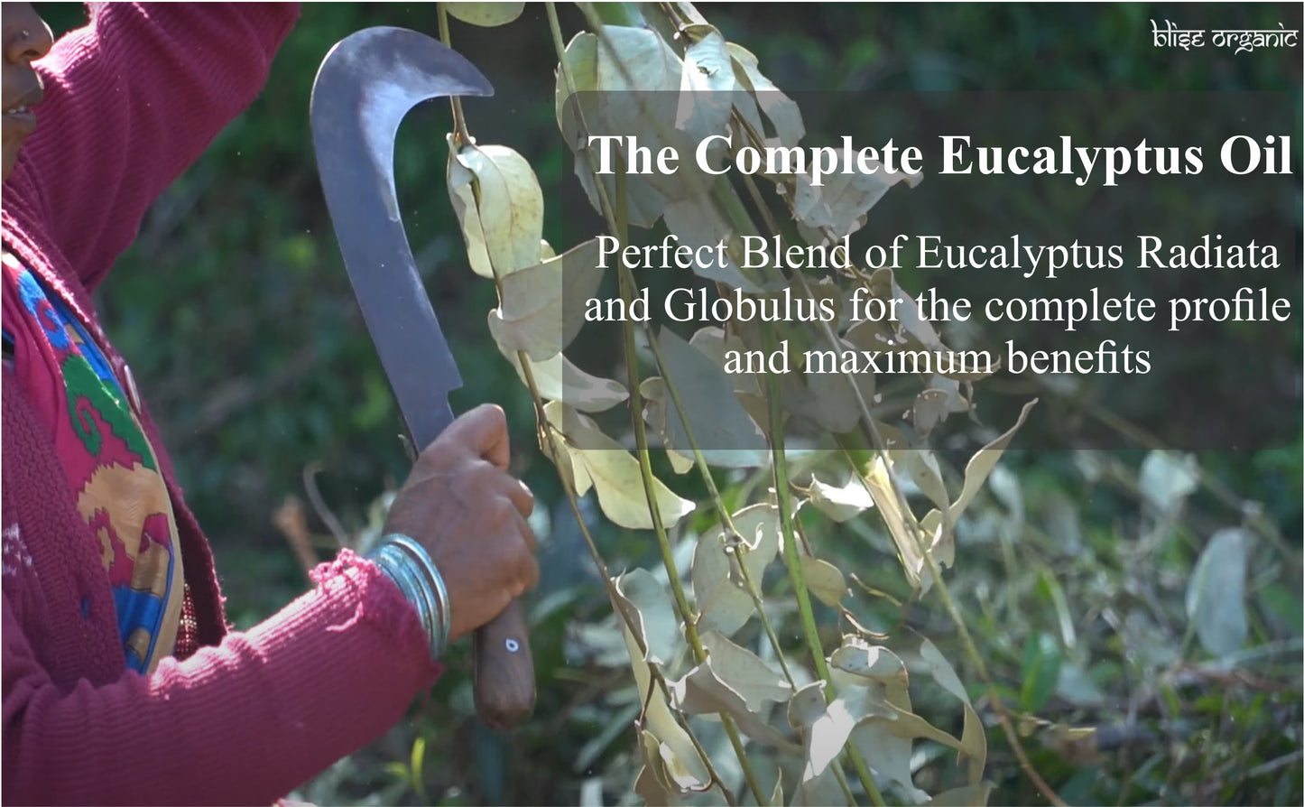 Eucalyptus essential oil