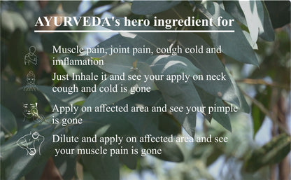 Eucalyptus essential oil