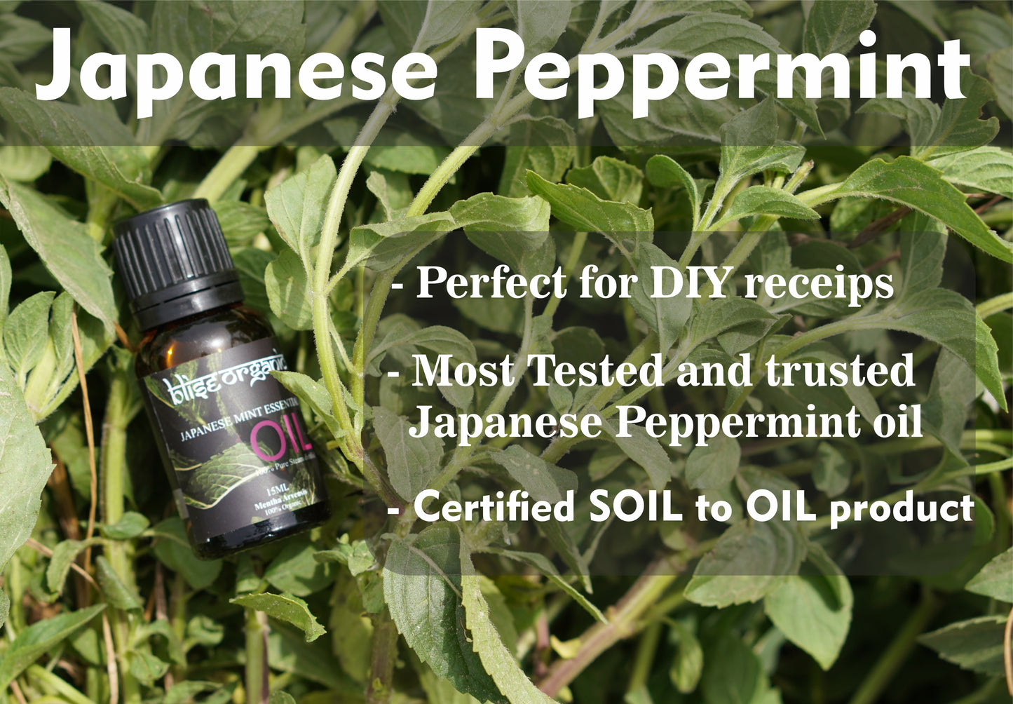 Japanese Mint Essential oil