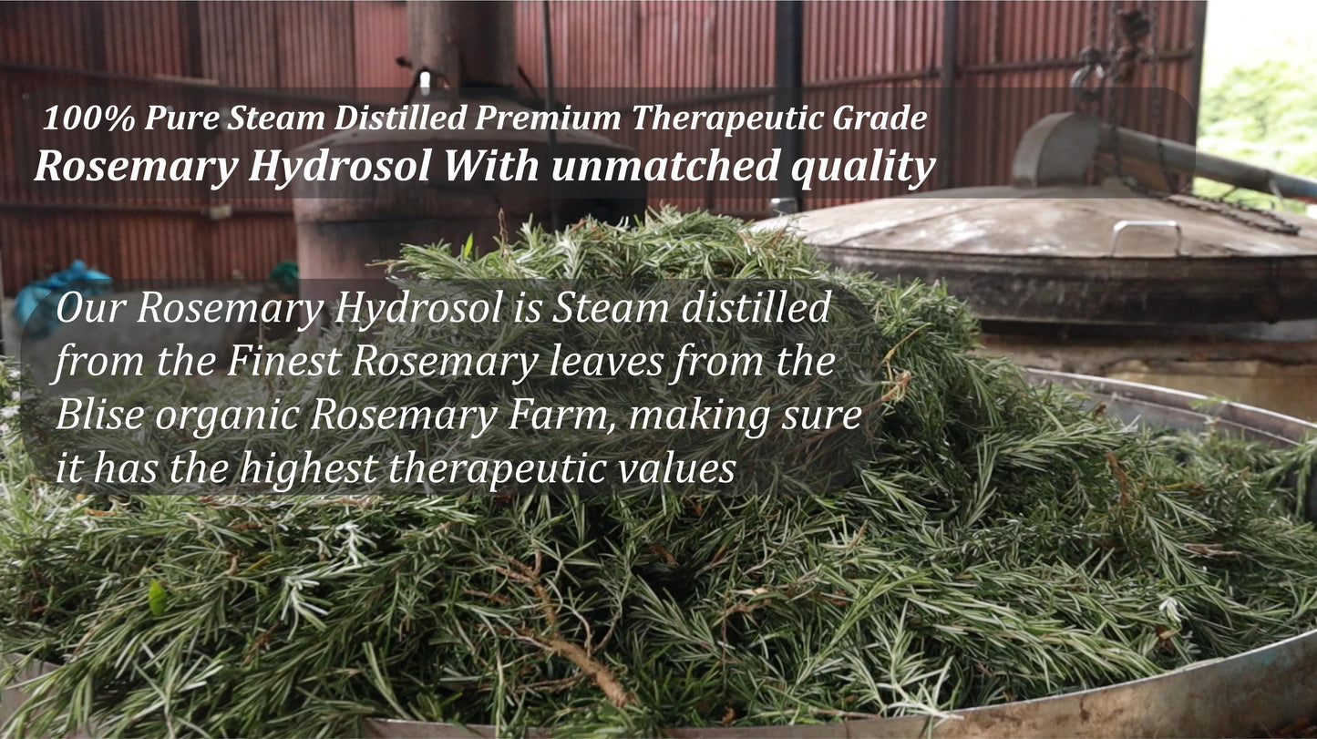 Rosemary Hydrosol - 100ML mist bottle