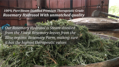 Rosemary Hydrosol - 100ML mist bottle